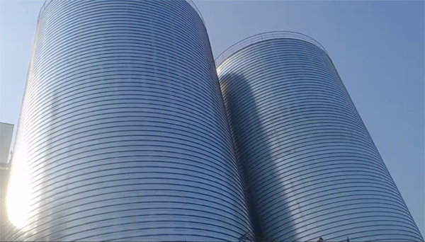 原州2座混凝土高架卷板仓